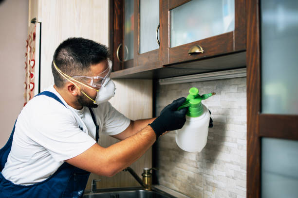 Best Pest Removal Services  in Hayden, AL