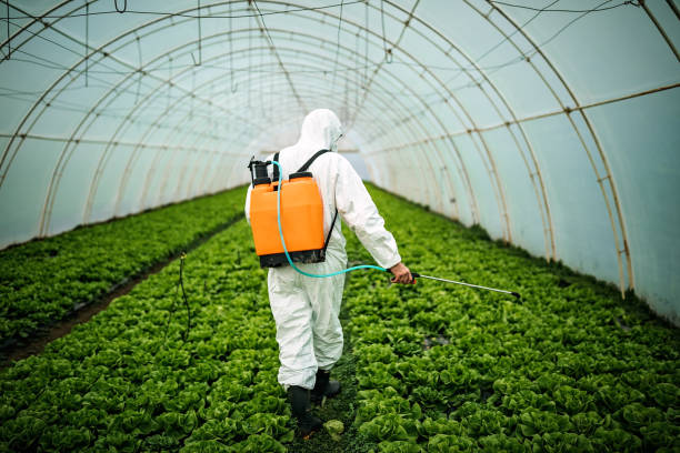 Best Best Pest Control Companies  in Hayden, AL