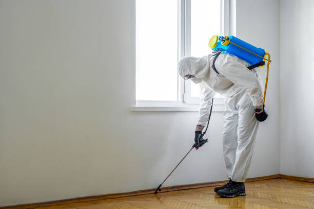 Best Bed Bug Extermination  in Hayden, AL