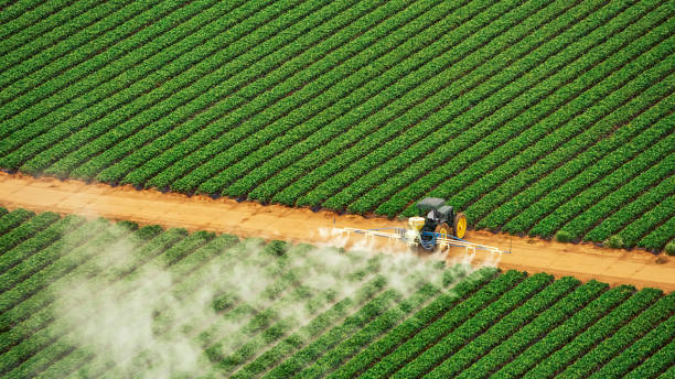 Professional Pest Control in Hayden, AL